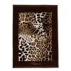 Roberto Cavalli Home Bath Towels | Bravo Towel