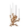 Pols Potten Candle Holders & Accessories | Apple Tree Candle Holder - Gold