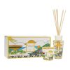 Baobab Collection Reed Diffusers | My First Baobab Gift Box